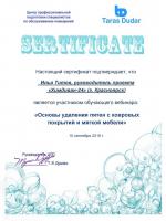 Сертификат филиала Александра Матросова 11